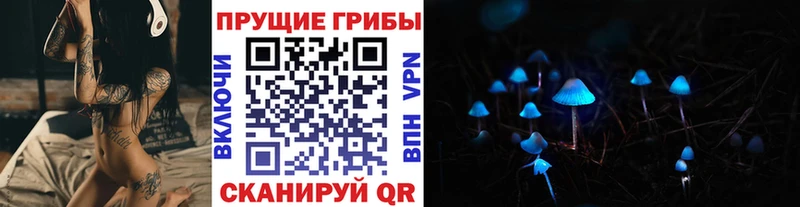 Галлюциногенные грибы Psilocybine cubensis Бердск