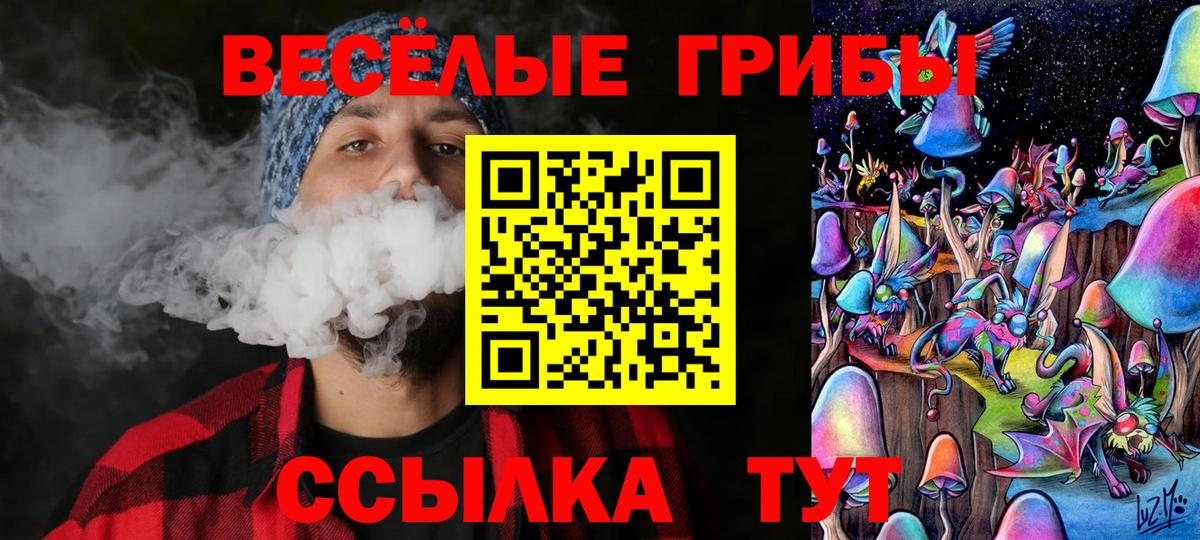Псилоцибиновые грибы Cubensis Бердск