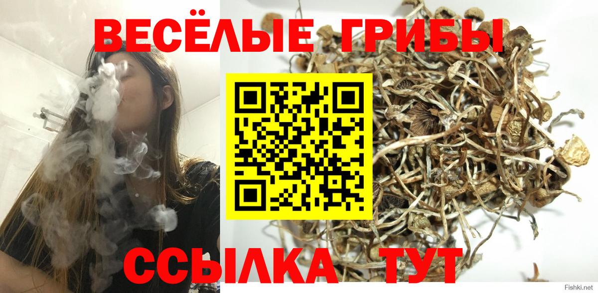 Галлюциногенные грибы мицелий  Вход с VPN  Бердск 