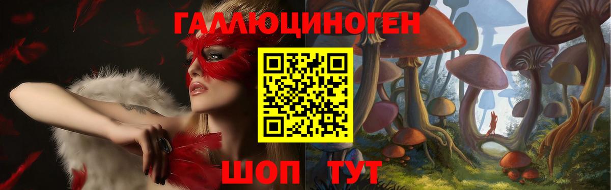 Псилоцибиновые грибы мицелий  Бердск  Псилоцибиновые грибы мицелий 