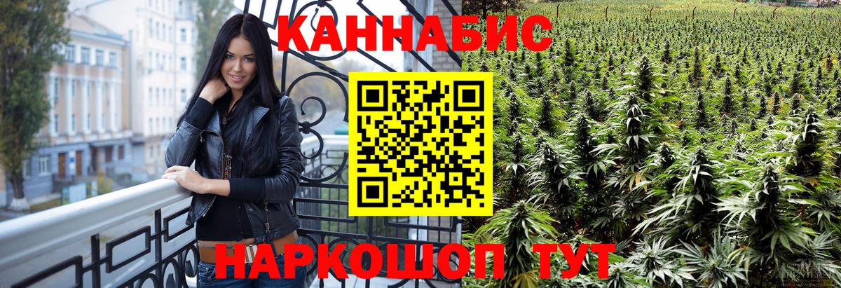 Каннабис OG Kush Бердск